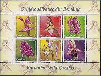 [Wild Orchids, typ IVK]