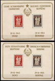 [Constitition of the Democratic Republic of Yugoslavia, type ET]