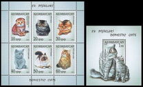 [Domestic Cats, Вид ACB]