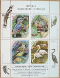 [Protected Birds, typ FUM]