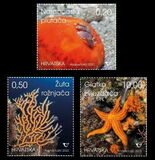 [Vida marina., tipo AXI]