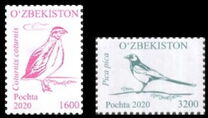 [Definitive - Birds, type AXL]