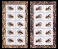 [The Red Book of Lithuania - Beetles, type RA]