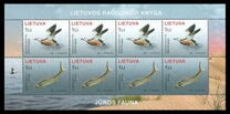 [The Red Book of Lithuania, Sea Fauna, tegund US]