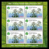 [International Year of Plant Health, Scrivi AOU]