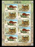 [Fauna of Artsakh, type GN]