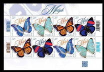 [Insects - Butterflies, type IHY]