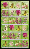 [Flowers - The World of the Orchid, タイプ TQ]