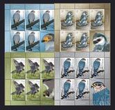 [Birds - Falcons, tip LGL]