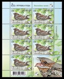 [Bird of the Year - The European Nightjar, 類型 BCV]