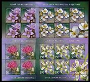 [Flora from National Reserves, tip LGW]