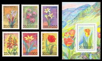 [Flowers of Uzbekistan, տեսակ AI]