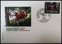 [Fauna - Water Buffalo, type CGH]