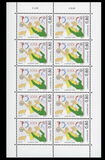 [The 75th Anniversary of the Luxembourg Handball Federation, տեսակ CAV]