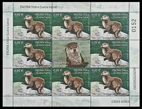 [Fauna - Eurasian Otter, loại OA]