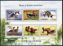 [Birds - Geese, typ IWY]
