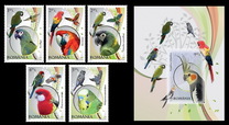 [Birds - Parrots, タイプ JHY]