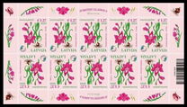 [Flowers - Shingled Gladiolus, प्रकार AHS]