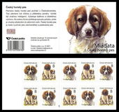 [Young Animals - Puppies - Canis lupus familiaris, type AQG]