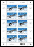 [The 100th Anniversary of the Estonian Civil Aviation, Вид BEJ]