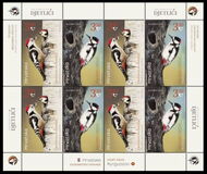 [Protected Bird Specie - Middle-spotted and White-winged Woodpecker - Joint Issue with Kyrgyzstan, type BBT]