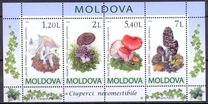 [Mushrooms, type XU]