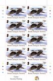 [Antarctic Birds, type AFI]