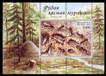 [Рыжий лесной муравей, тип OE]