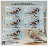 [Bird of the Year - The House Sparrow, тып ATQ]