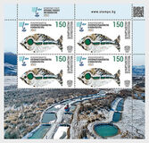 [International Year of Artisanal Fisheries and Aquaculture, 유형 AUD]