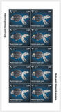 [Climate Action - Plastic Waste in the Sea, type BER]