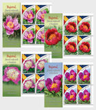 [Peony - The National Flower of Romania, Tip LUM]