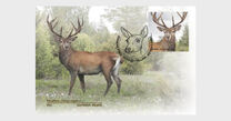[Fauna - Red Deer, type BGT]