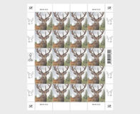 [Fauna - Red Deer, type BGT]