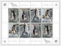 [Bats of Bosnia, 類型 WR]