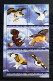 [Birds - Birds of Prey, type TK]