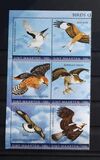 [Birds - Birds of Prey, type TK]