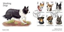 [Working Dogs, Tipe BDB]
