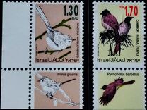 [Songbirds, Вид AUG]