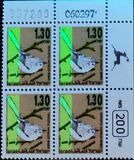 [Songbirds, Вид AUG]