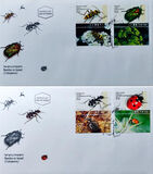 [Beetles, type AUN]