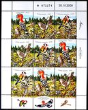 [Birds of Israel, type BWW]