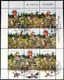 [Birds of Israel, type BWW]