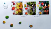 [Israeli Fruit Production, type AYQ]