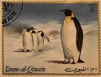 [Antarctica - Penguins, Typ XL]