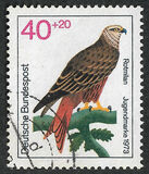 [Youth Hostel - Birds, тип UC]