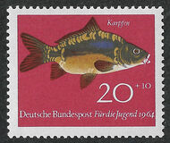 [Youth Health - Fish, 类型 IF]