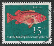 [Youth Health - Fish, 类型 IE]