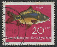 [Youth Health - Fish, 类型 IF]