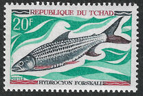 [Fish, type HR]